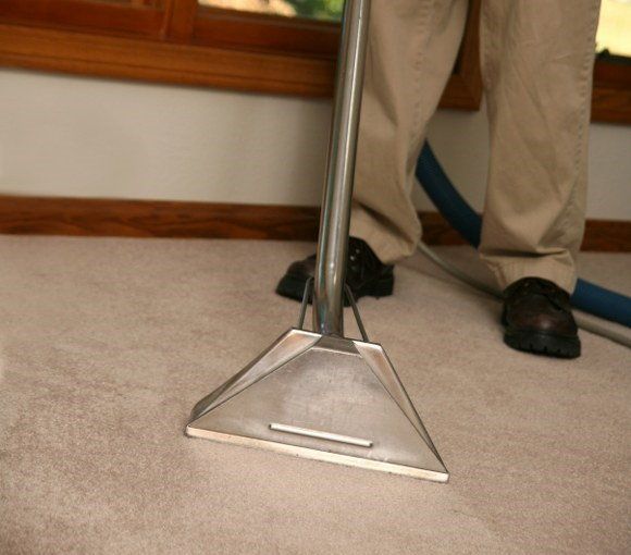 cleaning carpets