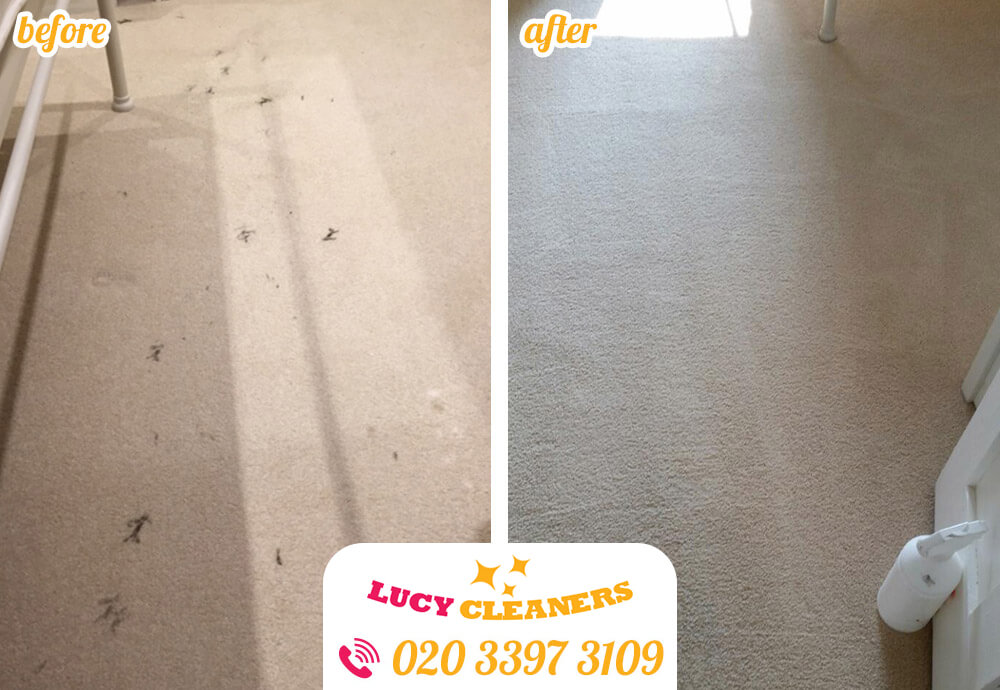 clean carpet SW13