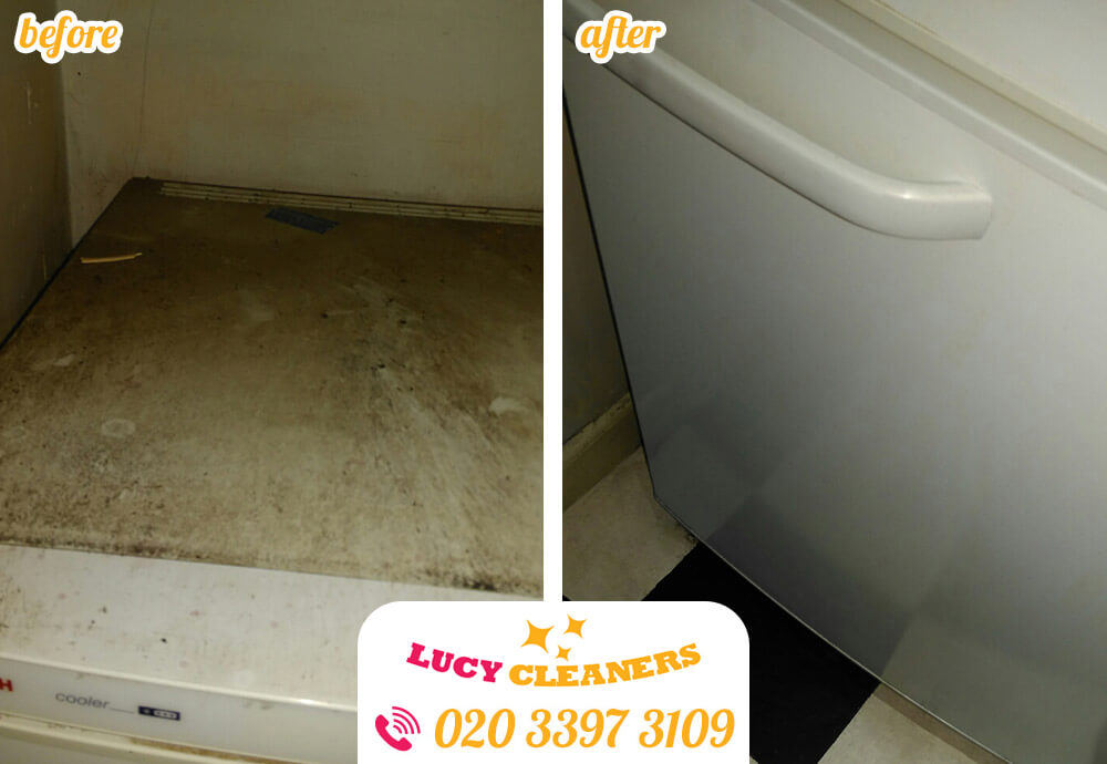 clean carpet RM11