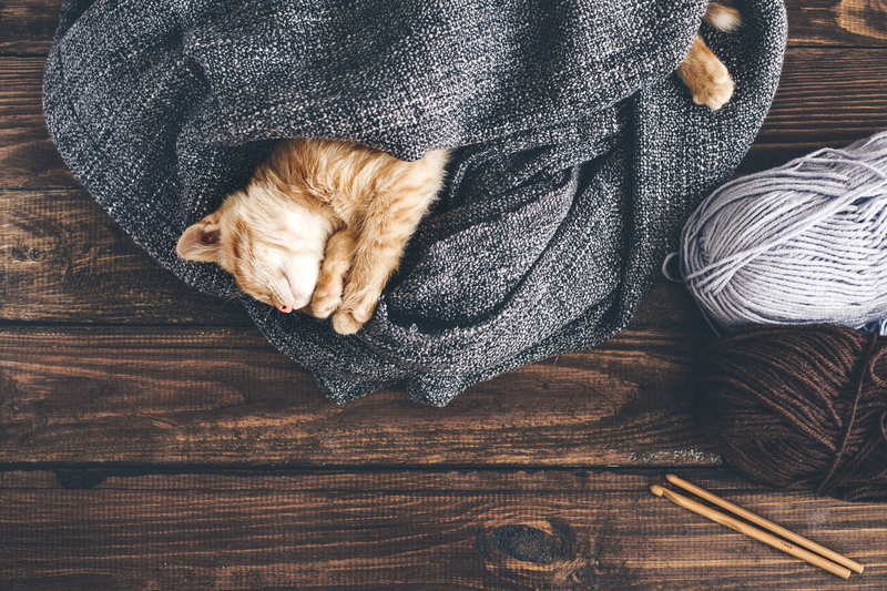 eco-friendly green cleaning