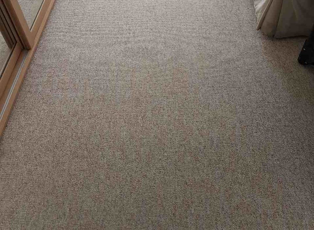 The Carpet Cleaning Services South East London