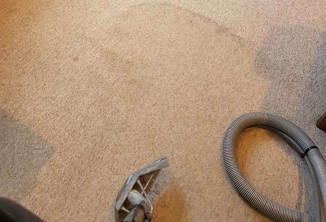 carpet cleaners in Surrey Quays