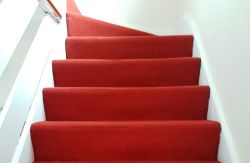 Anerley rug cleaners SE20