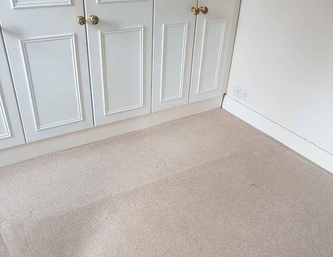 carpet cleaners in Ascot