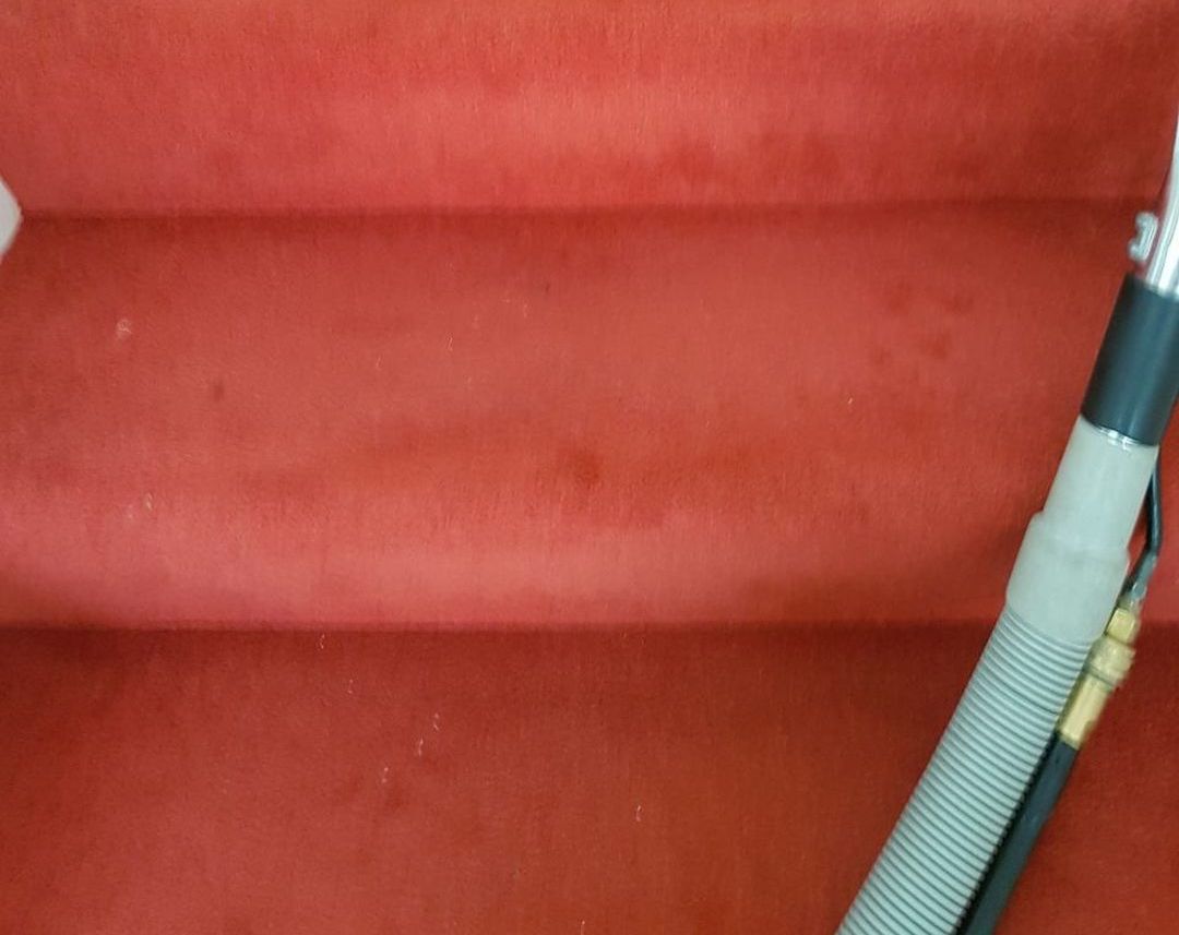 cleaning sofa Watford