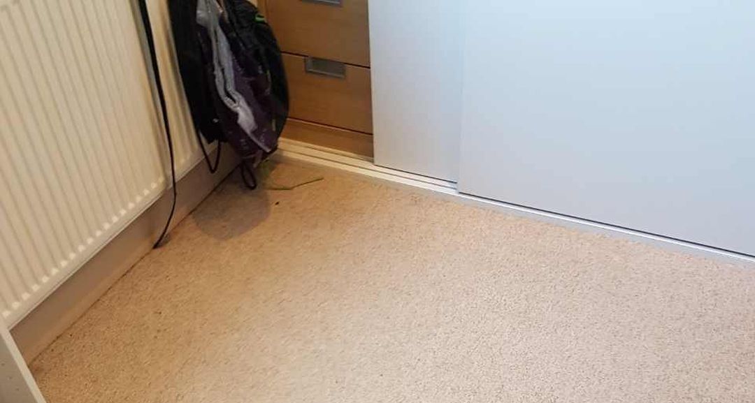 Twickenham cleaning office TW1